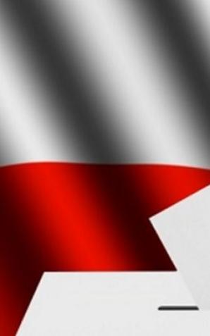 Jak oddać ważny głos w wyborach do Parlamentu?